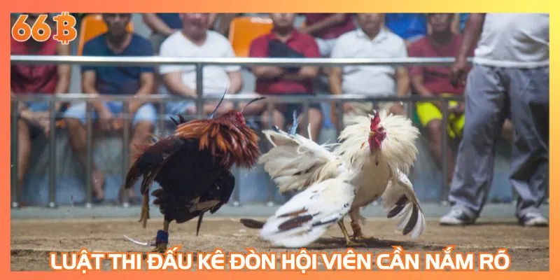 Luật thi đấu kê đòn hội viên cần nắm rõ