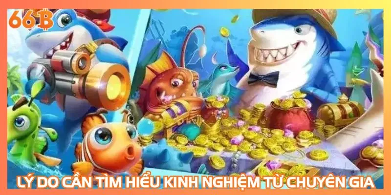 Lý do hội viên cần tìm hiểu kinh nghiệm từ chuyên gia