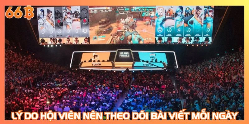 Lý do hội viên nên theo dõi bài viết mỗi ngày