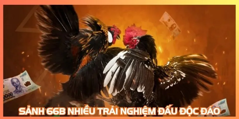 Sảnh 66B nhiều trải nghiệm đấu độc đáo