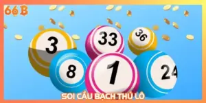 Soi cầu Bạch thủ lô